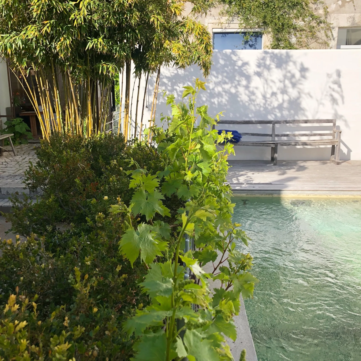 16 Ducharme Moriceau Architectes se baigner