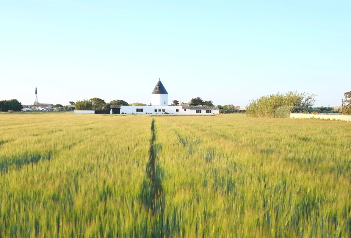 Ducharme moriceau architectes 01